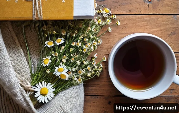 편도선염 증상 완화를 위한 가글 추천 관련 이미지 1